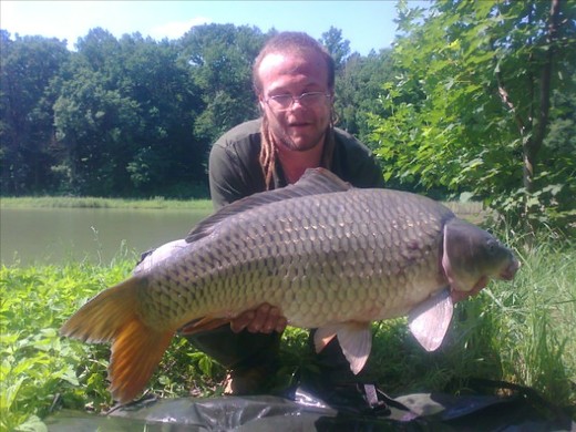 13kg.jpg