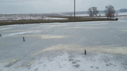 20170219_090002.jpg
