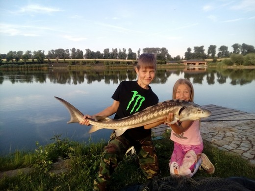 jeseter 120cm Lysovice