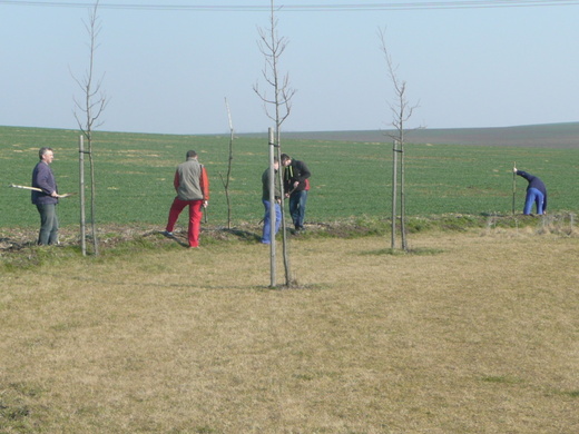 P1090828.JPG
