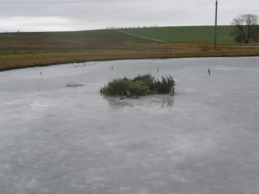 P1100324.JPG