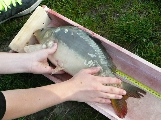 P1100525.JPG