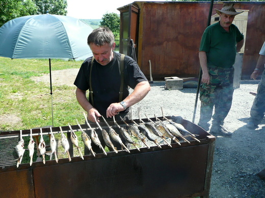 P1100527.JPG