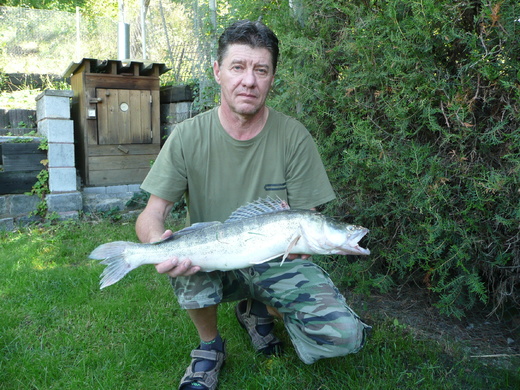Lovčice candát 68cm -2.80kg