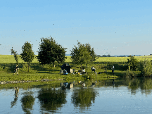 tempImagedt7iCV.gif